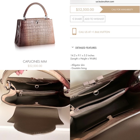 Louis Vuitton Capucines MM Alligator - Picture 2 of 16